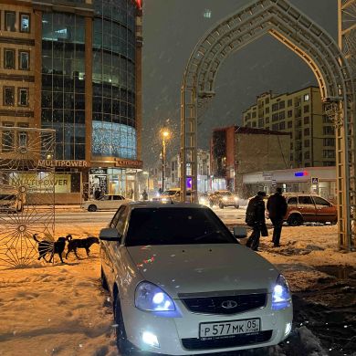 Ислам  Курбанов