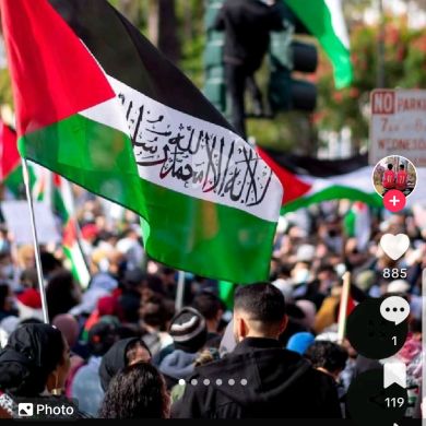 Mezida Shemsu Profile Picture