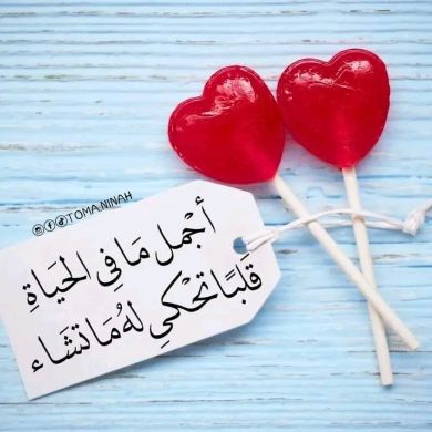 Follow Sunnah Profile Picture