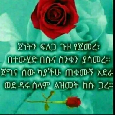 Zeyne Seid