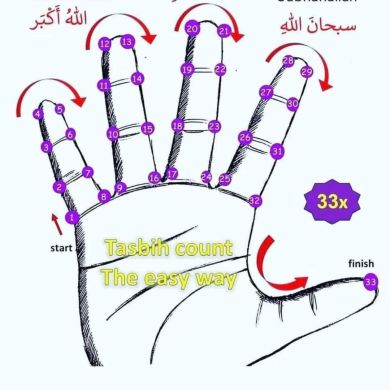 Anwar bedir