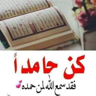 Hayat murad
