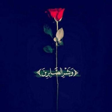 MOHAMMED NASIR Profile Picture