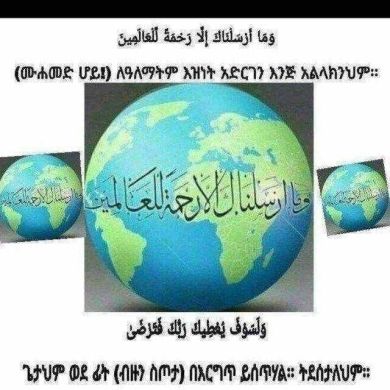 Zhara mustefa