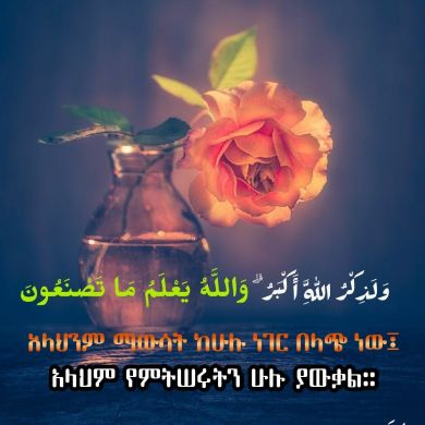 Lubaba-Mohammed Profile Picture