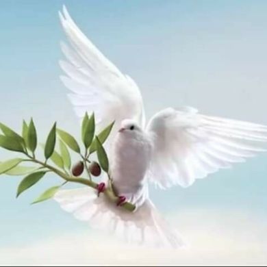 سندس محمد Profile Picture