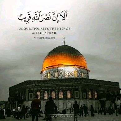 فتحية بشر