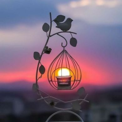 Ahmed Essam