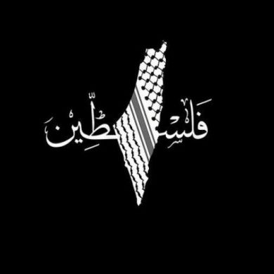 Omar Sahl Profile Picture