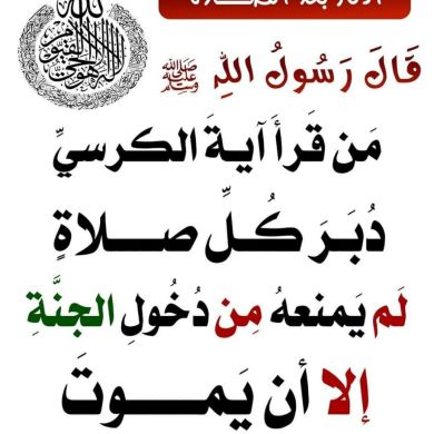 محمود محمد