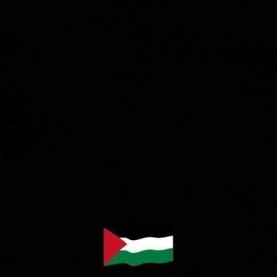 Marwan Farouk Profile Picture