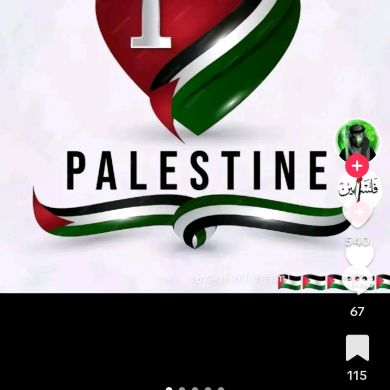 seid omer Profile Picture