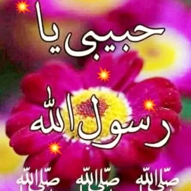 Musab_tahir Wako