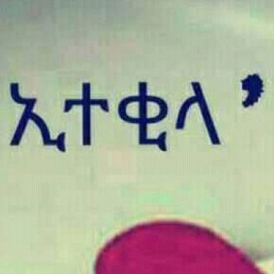 mifta detamo