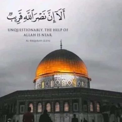 Jafer Mohammed