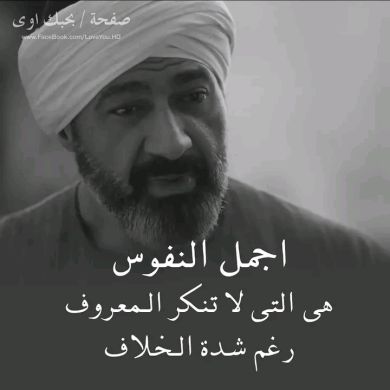 sule1419