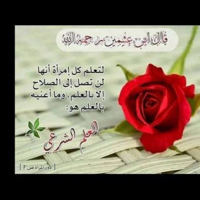 Tawheed First