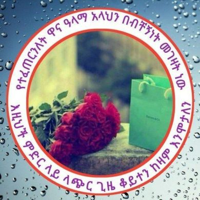 Umu Sumaya L