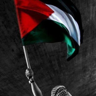 اب شميل Profile Picture