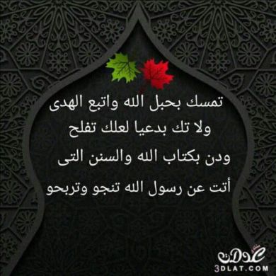 Abubeker Seid Profile Picture