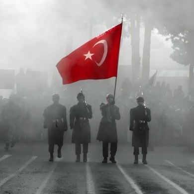 Ziya Arı