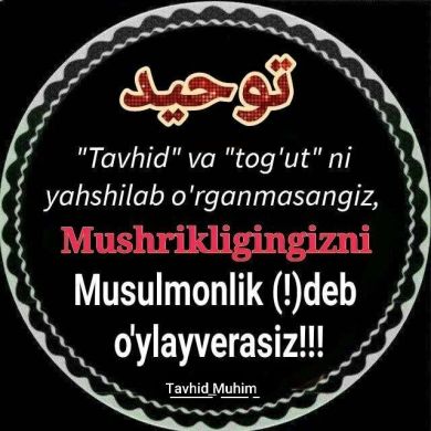 Abu Ali