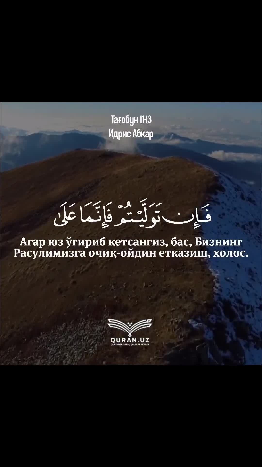 YouTube Video