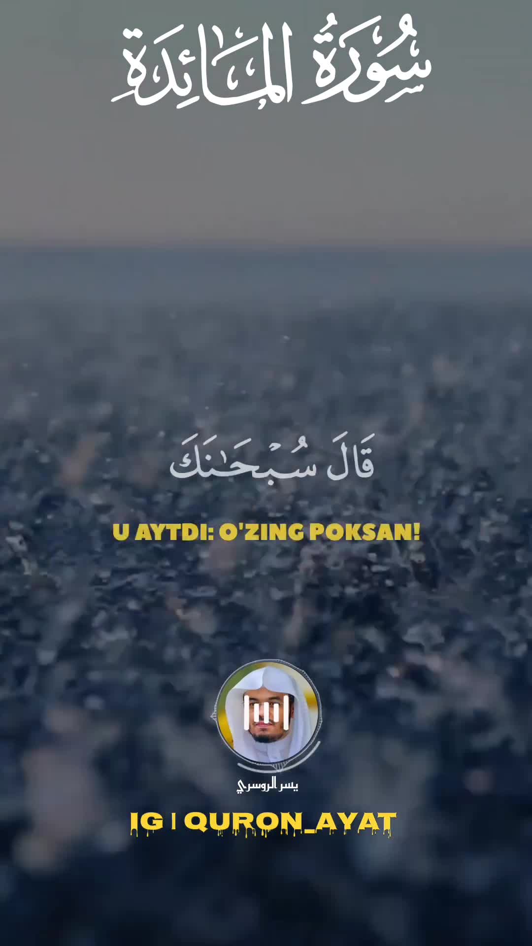 YouTube Video
