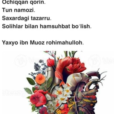 umma1703665473