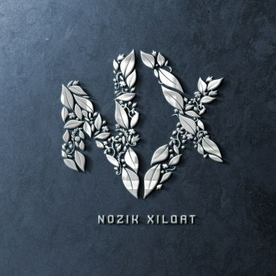 Nozik Xilqat Profile Picture