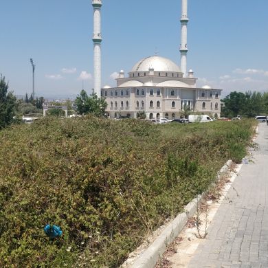 Abdul Salem