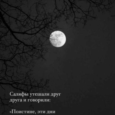 Умм Абу Бакр