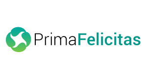 AI Consulting Services - PrimaFelicitas