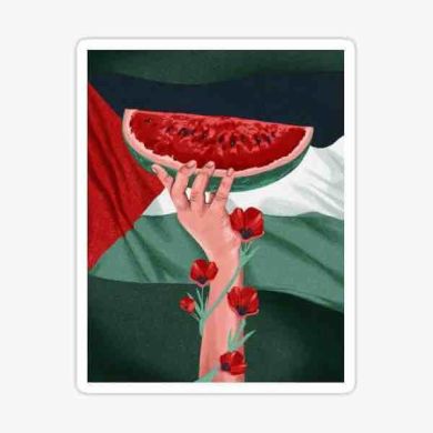 عائشة بنت ‎ عارف