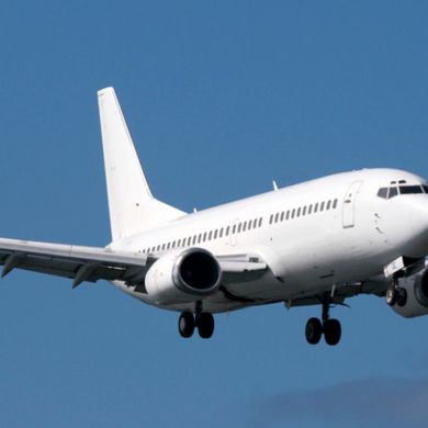Vuelo baratoses