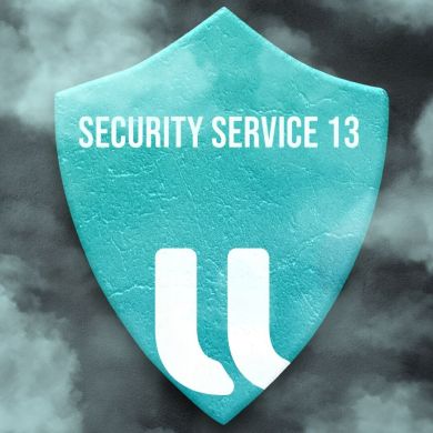 Security Service 13