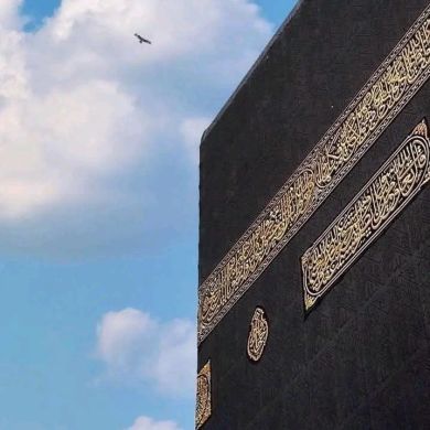 إبنة إبراهيم Profile Picture
