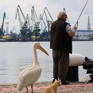 Абу Марьям И