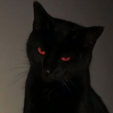 Хаби Курбонова Profile Picture