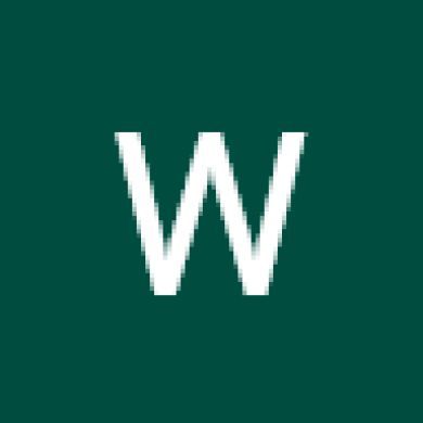 Windows Key