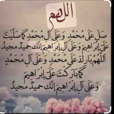 Abubeker Fereji Profile Picture