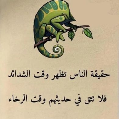 Seid Molla